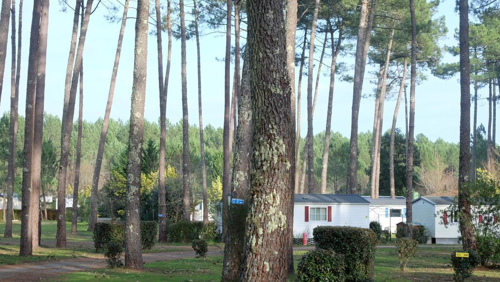 Camping Officiel Siblu Les Dunes De Contis Saint-Julien-en-Born Exterior foto